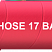 Напорный шланг для пара STEEL STEAM HOSE (MS-017-...-VR), аналог Plicord 250 Steam